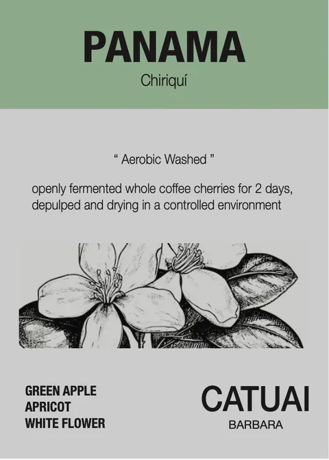Roast8ry Panama single-origin — back of pack